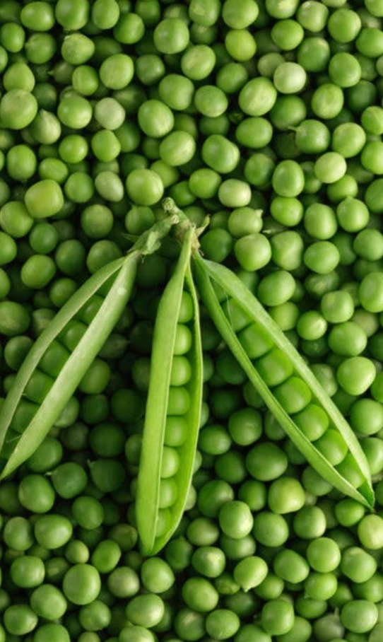 Fresh peas