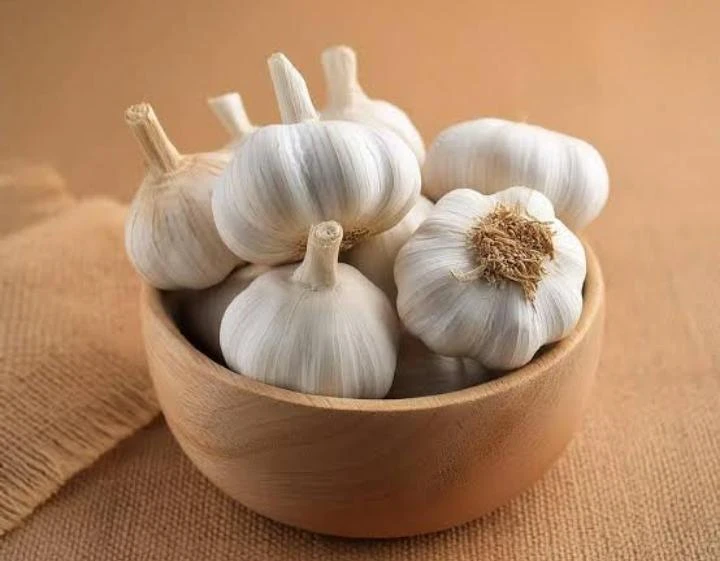Garlic