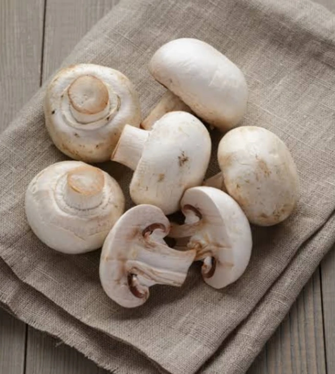 Mushroom