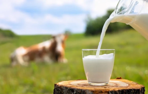 Fresh milk ..
